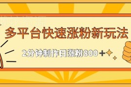多平台快速涨粉实用玩法 2分钟制作内容单日稳定涨粉800+