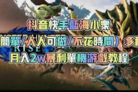 抖音快手蓝海单机游戏变现教程 操作简单新手可做多途径增收