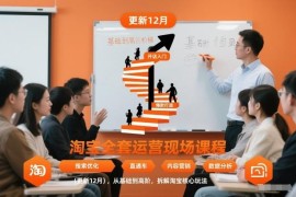 更新至2025年12月 淘宝全套运营课程从基础到高阶拆解核心玩法