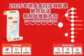2026年拼多多运营打法导航课 附可落地实操全流程玩法模板