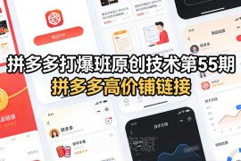 拼多多打爆班第55期教程 高价铺链接实操落地玩法详解