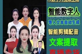 伍老师AI数字人剪辑制作教程 含直播变现全流程实操课程