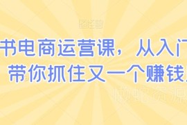 小红书电商运营从入门到精通 全流程实操教程干货合集