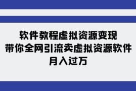 虚拟软件资源变现实操教程 11节课掌握全网引流卖货全流程
