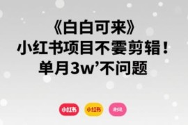 适合小白操作的无剪辑小红书树洞项目 单月收益最高可达3万元