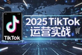2025TikTok电商运营全流程指南 掌握核心技巧实现低成本高转化