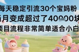 日引30个宝妈粉变现项目拆解 小白操作当月可实现月入过万