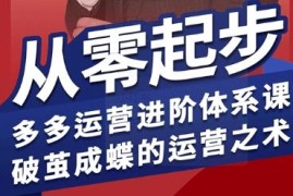 2024-2025版拼多多运营进阶系统课 从零起步全流程实操教程