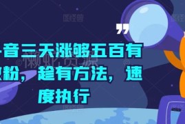 2024抖音三天涨五百有效粉实操方法 新手可快速落地执行