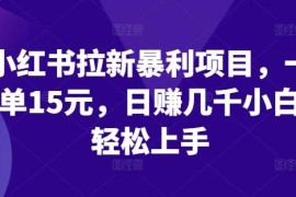 2024小红书拉新副业实操攻略 一单15元零成本小白轻松上手