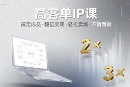 高客单IP成交系统课程 私域转化变现运营方法全指南