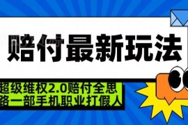 2024超级维权2.0玩法揭秘 职业打假赔付全思路单手机即可操作