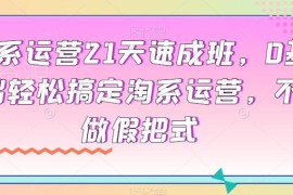 0基础淘系运营21天速成教程 核心玩法拆解可直接落地复用
