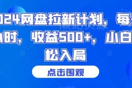 2024网盘拉新项目指南 小白每日1小时可获500+收益