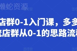 拼多多自然流店群0-1入门课 完整运营思路与操作流程讲解