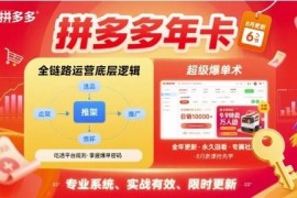 2025年8月更新拼多多全链路运营 底层逻辑与爆单实操教程