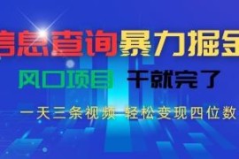 抖音信息查询赛道变现项目 日更3条视频轻松赚四位数实操攻略