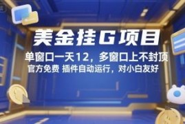 美金挂机项目实操详解 单窗口日入12元多开收益无上限对小白友好