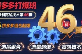 拼多多打爆班第46期高阶教程 店铺组合起爆全链路实操玩法