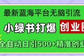 微信小绿书蓝海引流实操 全自动日引500+精准创业粉教程