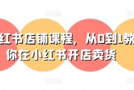 0基础做小红书店铺 从0到1完全流程开店卖货实操课程