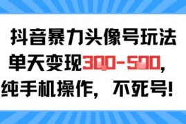 抖音头像号低门槛运营玩法 纯手机操作新手可实现单日变现