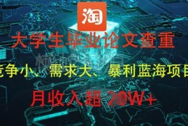 大学生毕业论文查重副业项目 实操玩法及盈利技巧全解析