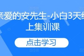 亲爱的安先生小白3天线上集训课 全套课程资源分享