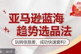 亚马逊蓝海趋势选品法训练营 信息差套利实操技巧教学