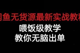 2024闲鱼无货源实操教程 从养号选品到爆单全流程落地教学