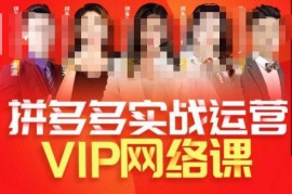 2023推易拼多多VIP全套直播课 店铺实操选款直通车玩法教学