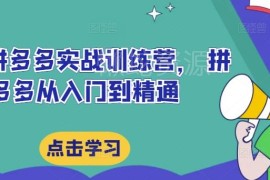 2024拼多多运营从入门到精通 全阶段实战训练营课程汇总