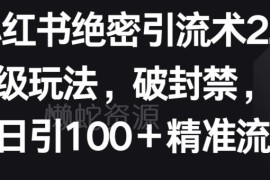 小红书引流2.0升级玩法详解 破解新规封禁轻松获取精准流量