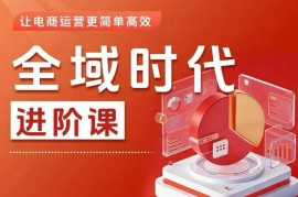 全域电商运营进阶实操课 投放起号投产提升全流程教学