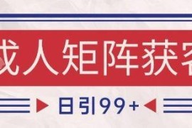 小红书抖音成人赛道引流获客 自热矩阵日引200+玩法揭秘