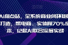 12款AI联合实战教程 打造全系统商业闭环助力电商实体降本提效