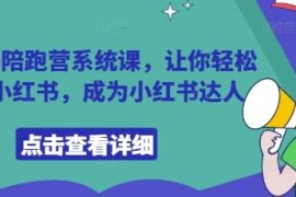 小红书陪跑营系统课程 零基础入门到达人运营变现全攻略