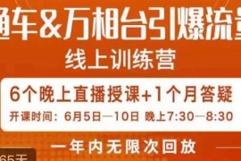 6天直通车万相台实操课程 解决付费推广流量少投产低难题