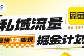 私域流量掘金实战训练营全流程 新手低门槛变现实操指南