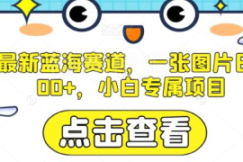 AI赛道蓝海低成本副业项目介绍 小白操作图片类玩法可日入300+