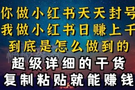 小红书私域引流不违规方法 单日引流数十人变现上千实操教程