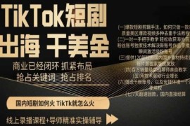 TikTok短剧出海全流程实操教程 剪辑涨粉回款附配套资源