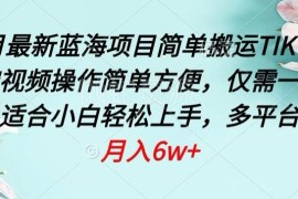 2024年4月蓝海副业 搬运TikTok萌宠视频手机即可操作变现