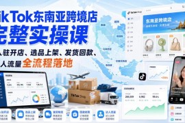 TikTok东南亚跨境店全流程实操课 入驻选品发货运营全覆盖