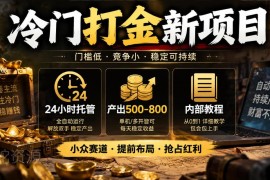 冷门24小时托管打金新项目 附起号到变现全套内部教程