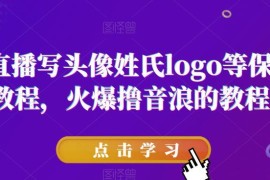 抖音姓氏logo头像类直播搭建教程 撸音浪实操方法详解