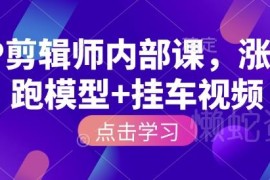 IP剪辑师内部实操课程 涨粉跑模型与挂车视频制作全流程教学