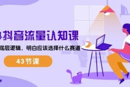 2024抖音流量认知43节系统课 掌握流量底层逻辑选对运营赛道