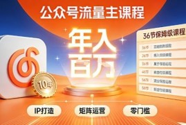 公众号流量主全环节运营技巧 零基础IP搭建矩阵变现实操指南