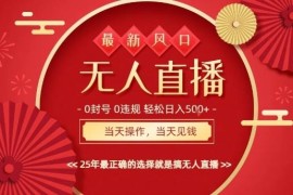 2025最新快手AI无人直播玩法 低门槛零违规操作当天可见收益